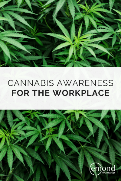 Cannabis Awareness for the Workplace