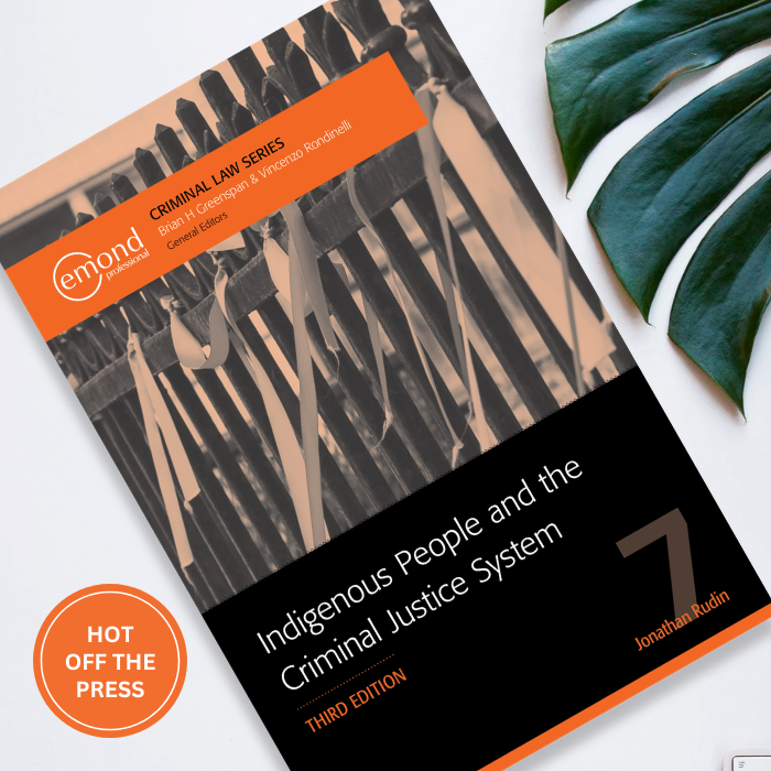 Indigenous People and the Criminal Justice System 3e